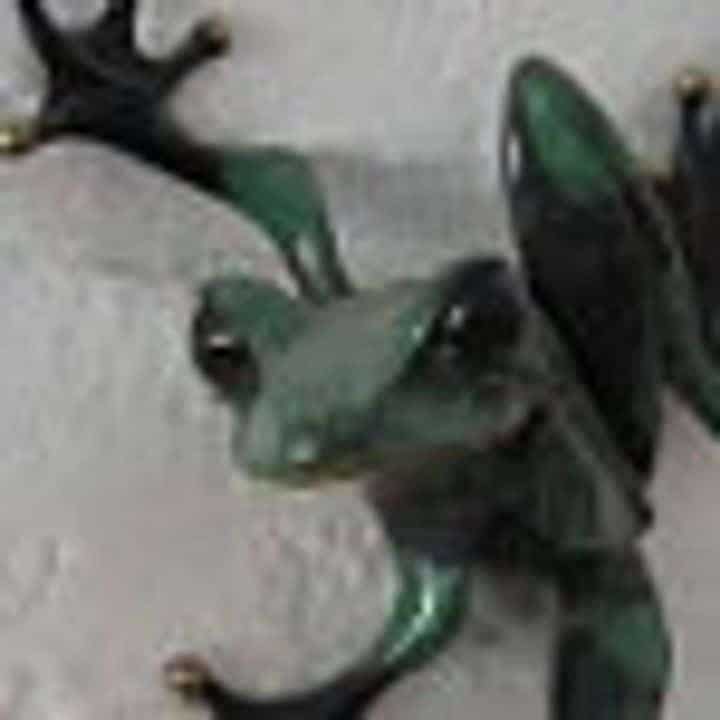 1607650184466-5895-1