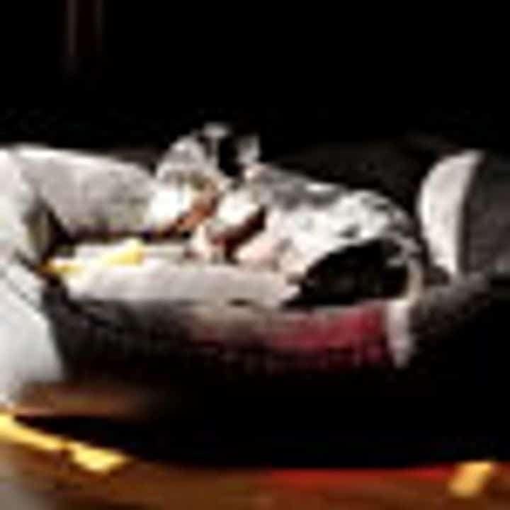 1607650710114-4704-1