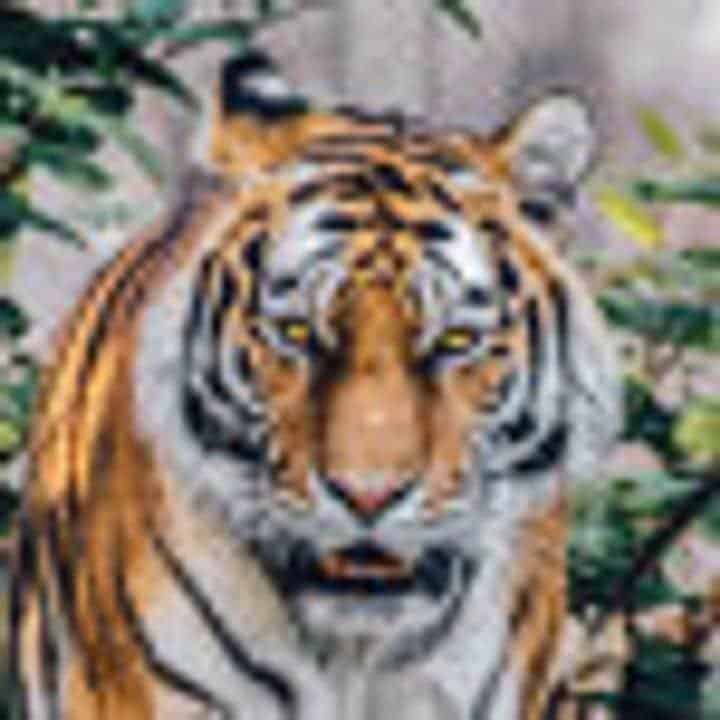 1607650985397-4992-1